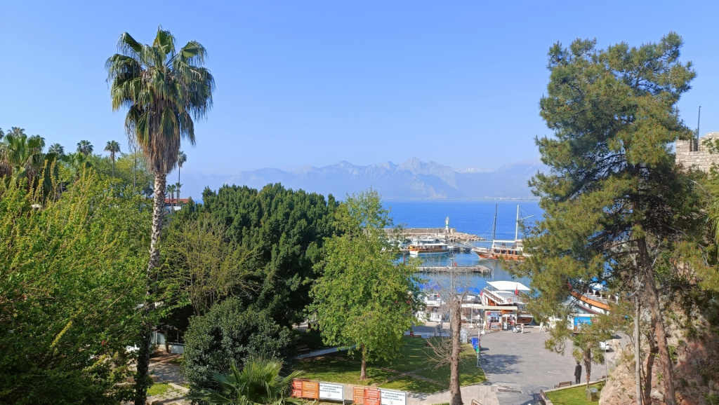 Партнёрская_конференция_2025